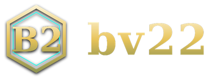 bv22 logo